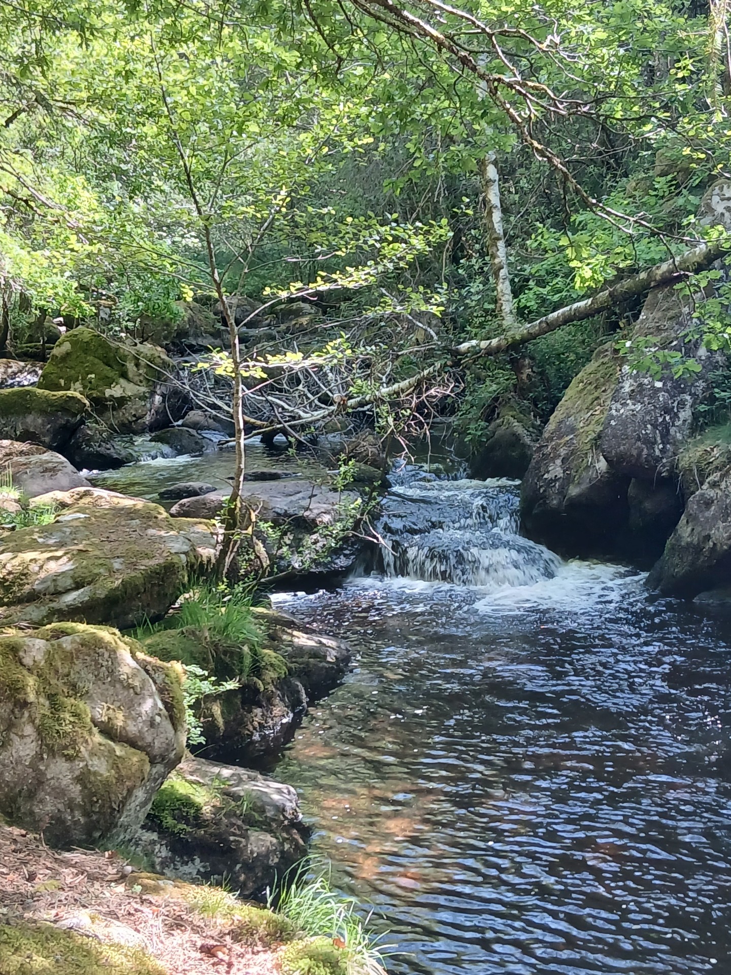 Vallée de Thaurion 29 mai