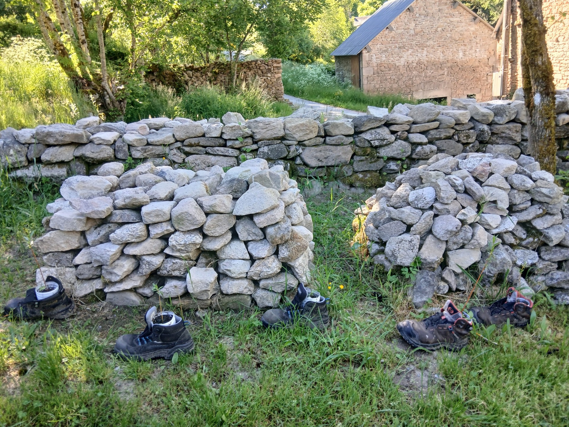 Tourbière du Longeyroux 30 mai