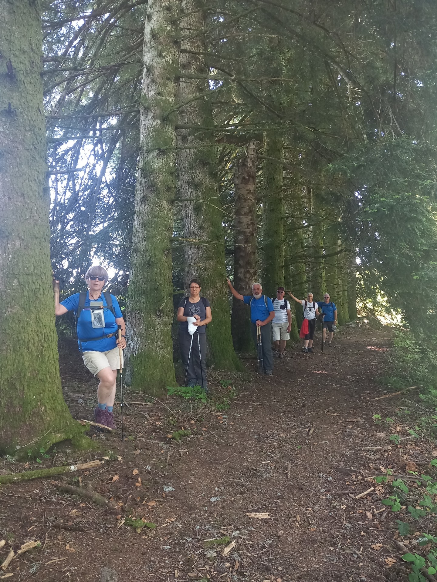 La Tourbière du Longeyroux