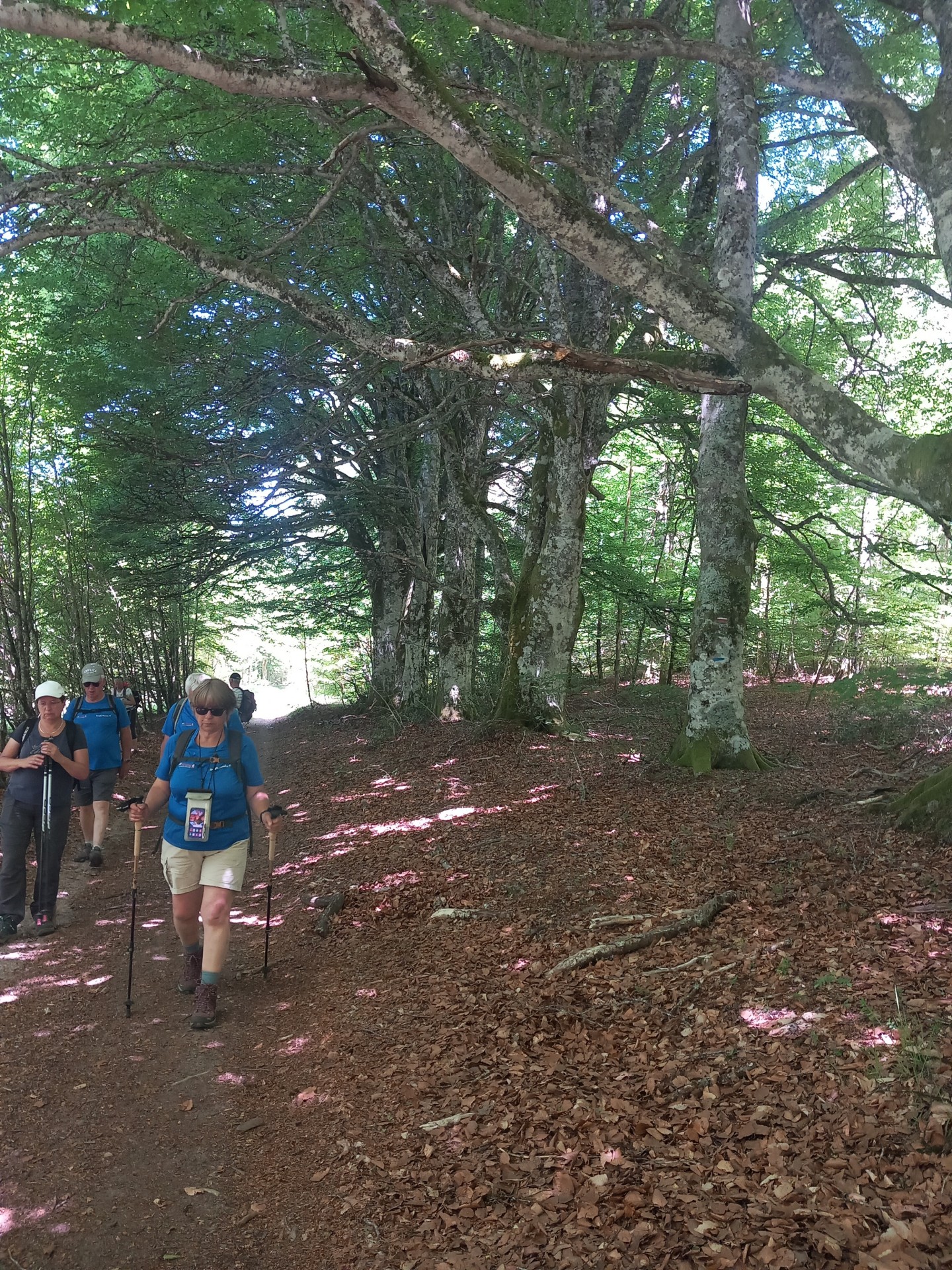 Vallée de Thaurion 29 mai