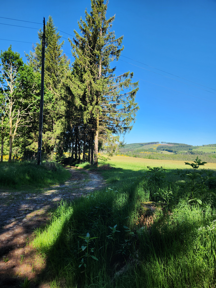 Tourbière du Longeyroux 30 mai