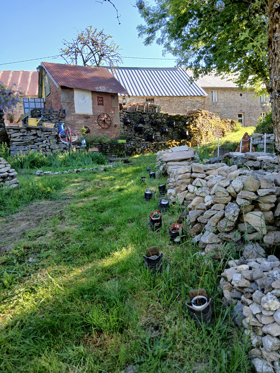 Tourbière du Longeyroux 30 mai