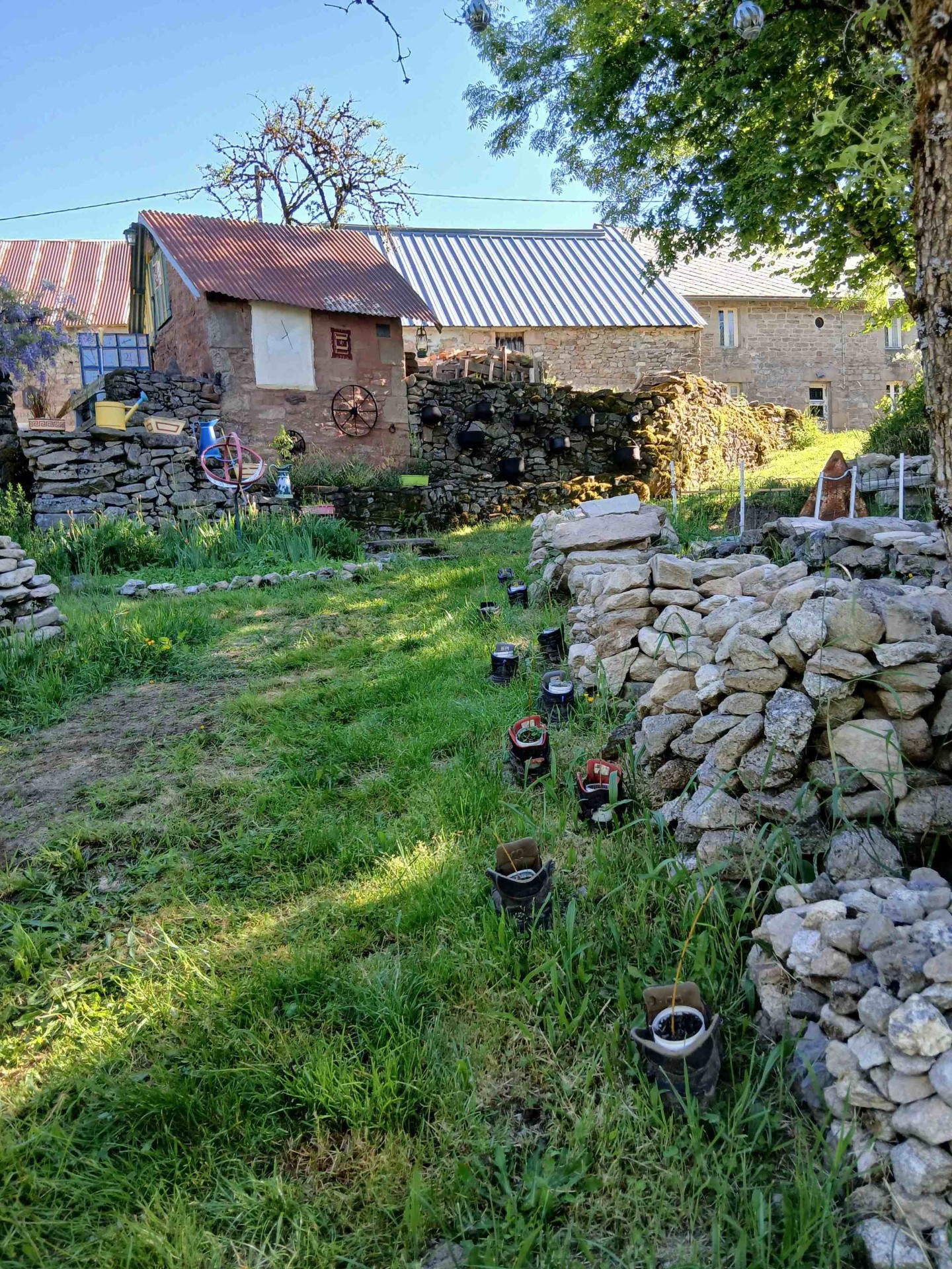 Tourbière du Longeyroux 30 mai