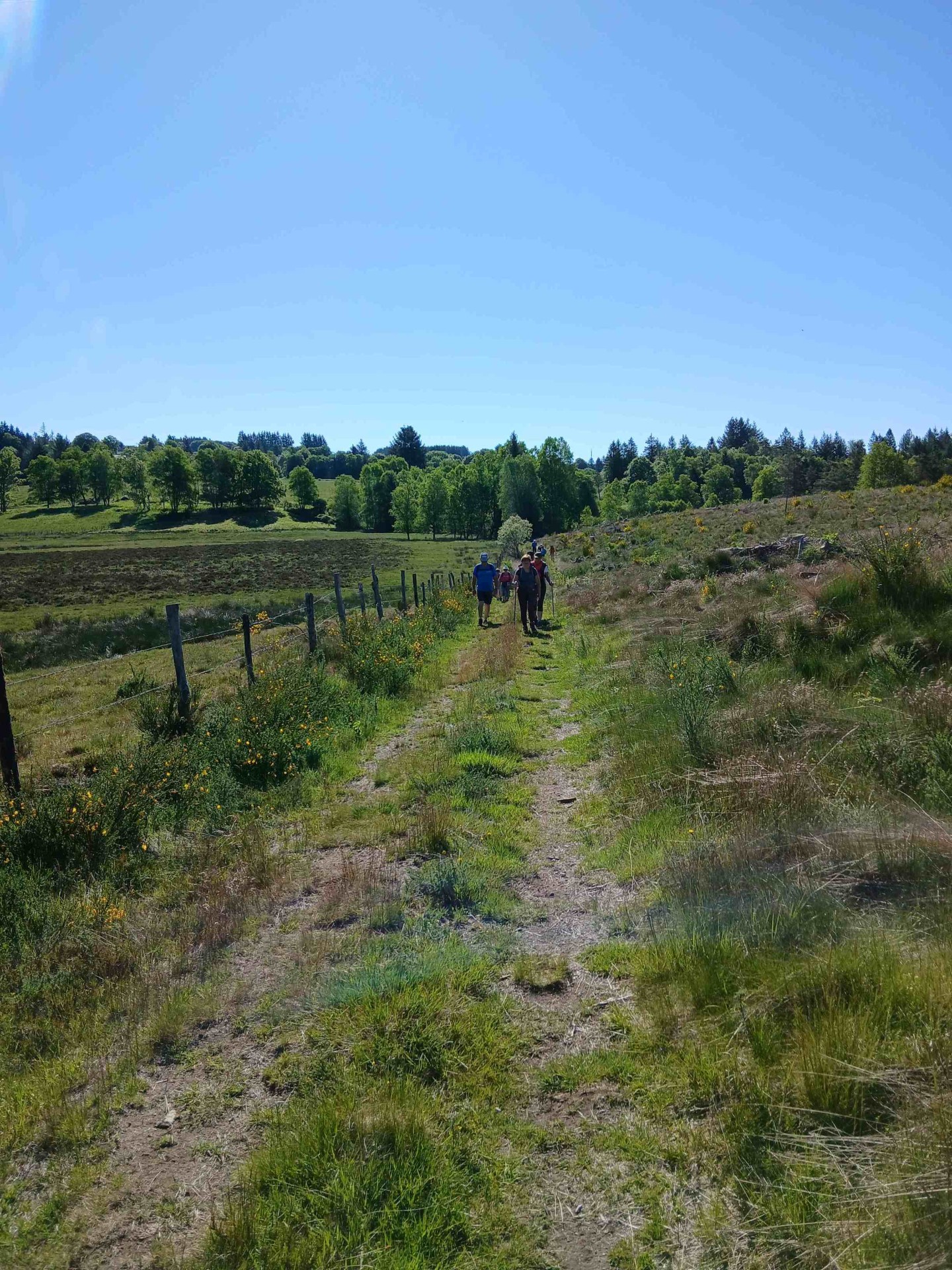 Tourbière du Longeyroux 30 mai