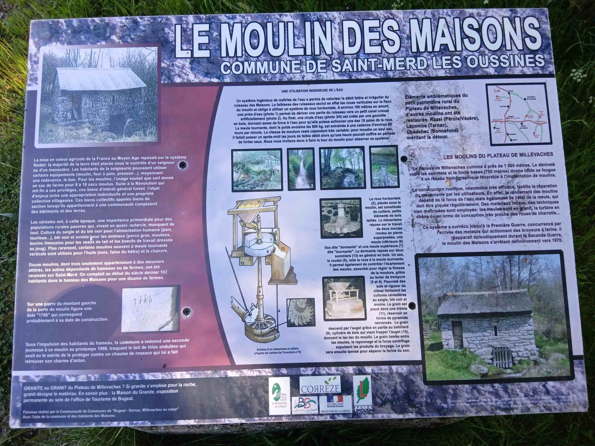 Tourbière du longeyroux 30 mai