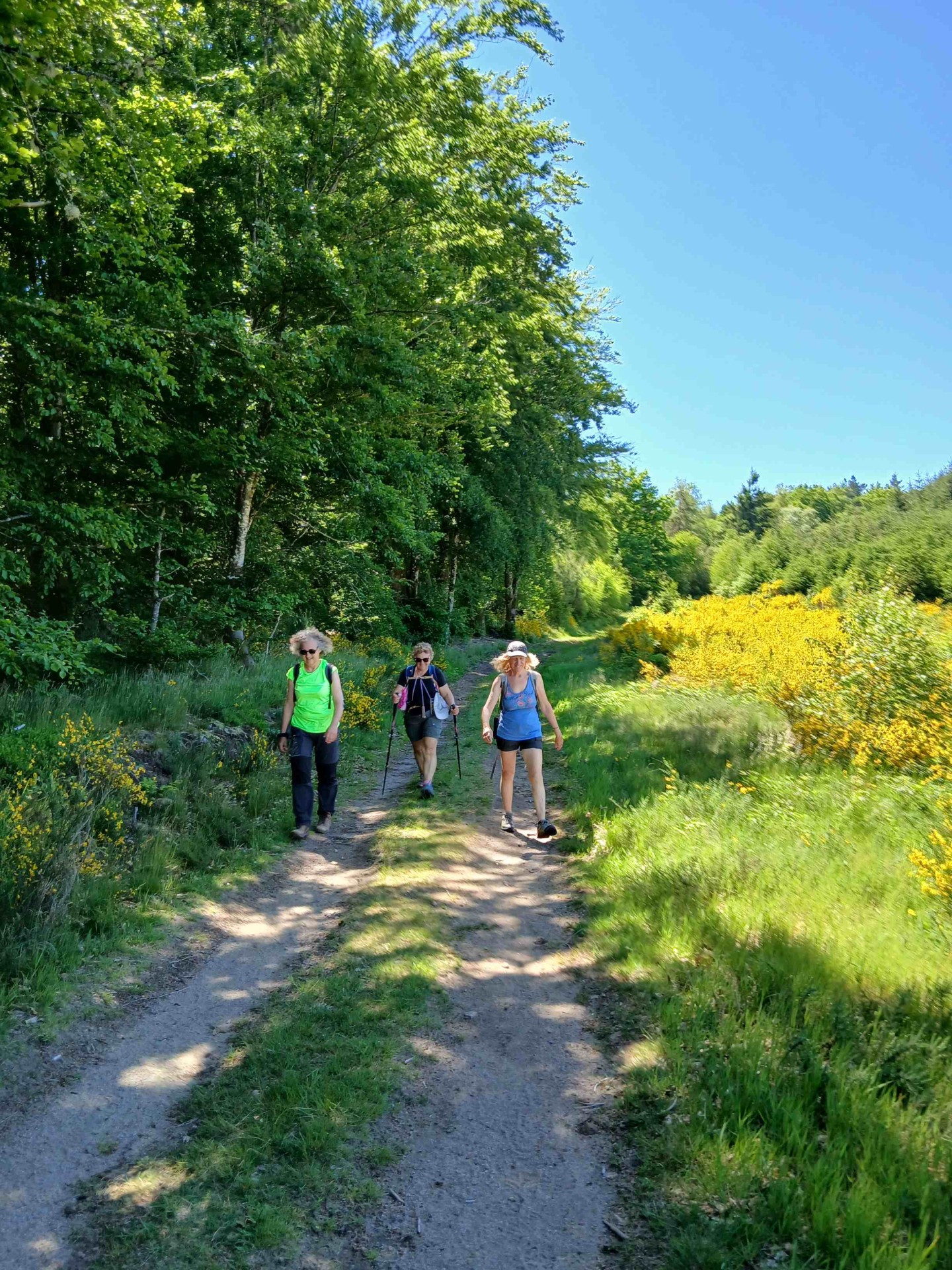 Tourbière du longeyroux 30 mai
