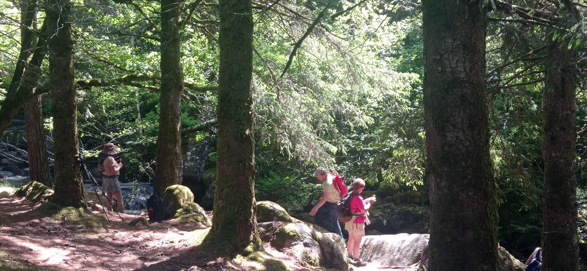 Vallée de Thaurion 29 mai