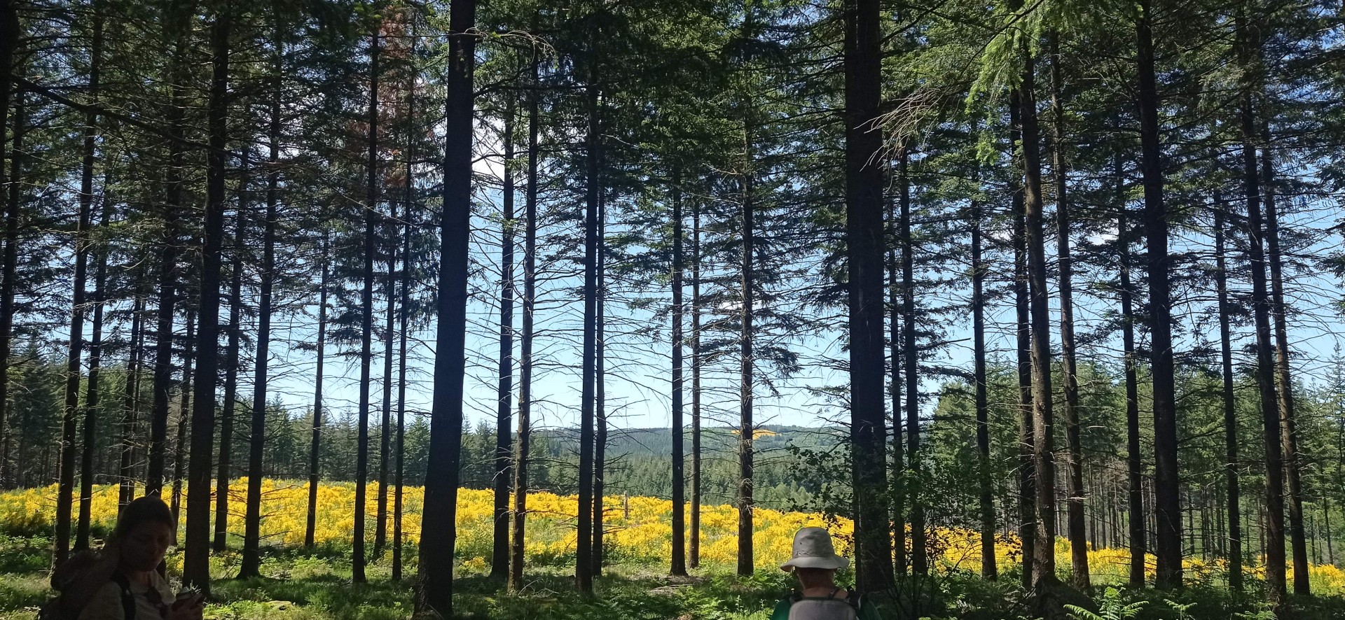 Vallée de Thaurion 29 mai